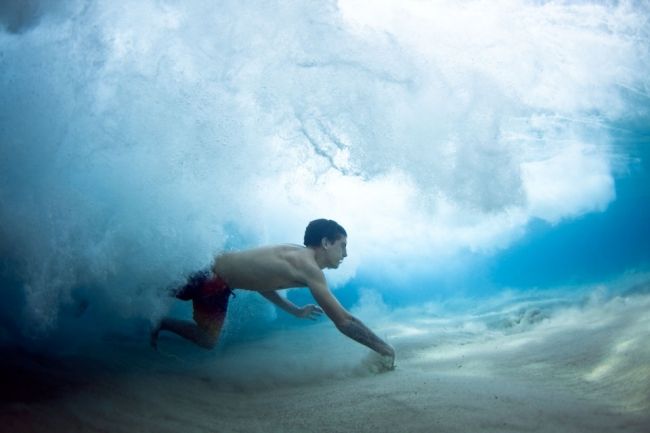 Stunning underwater photos Mark Tipple