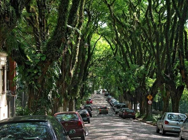 Найзеленіша вулиця в світі