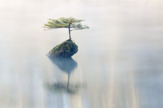 Переможці фотоконкурсу & laquo; International Garden Photographer of the Year & raquo ;: частина перша