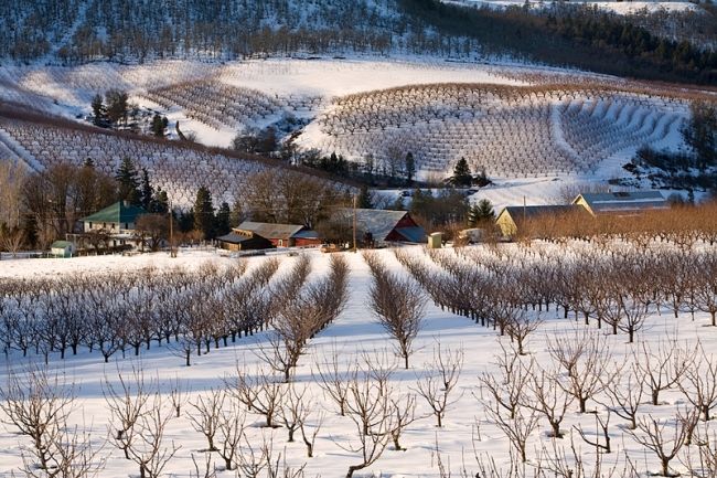 Победители фотоконкурса «International Garden Photographer of the Year»: часть первая