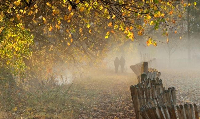 Переможці фотоконкурсу & laquo; International Garden Photographer of the Year & raquo ;: частина друга