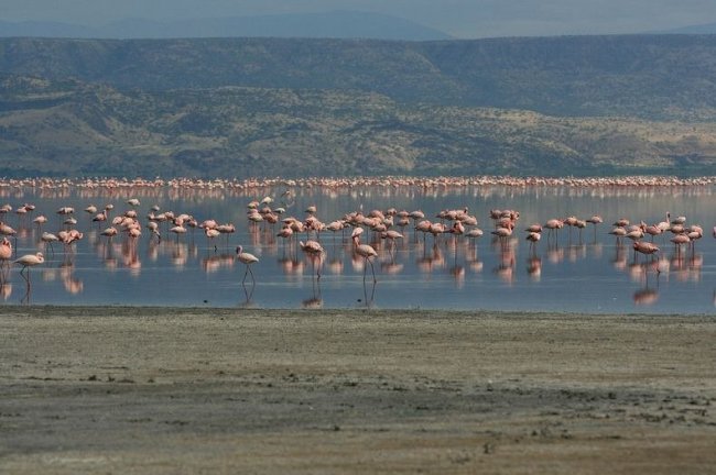 Red and pink Lake Natron in Tanzania