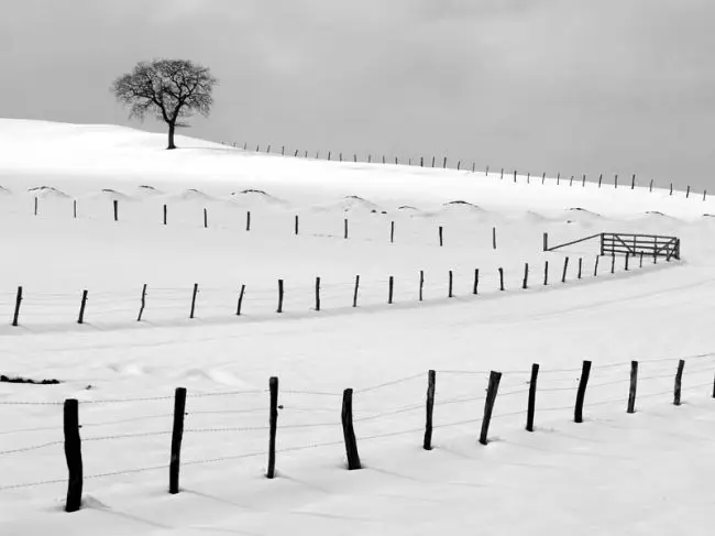 Победители фотоконкурса «International Garden Photographer of the Year»: часть третья