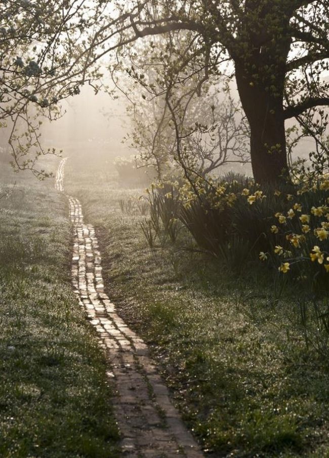 Победители фотоконкурса «International Garden Photographer of the Year»: часть первая