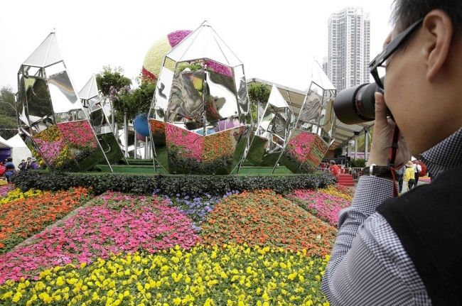 Фестиваль квітів в Гонконзі & laquo; Hong Kong Flower Show 2013 & raquo;