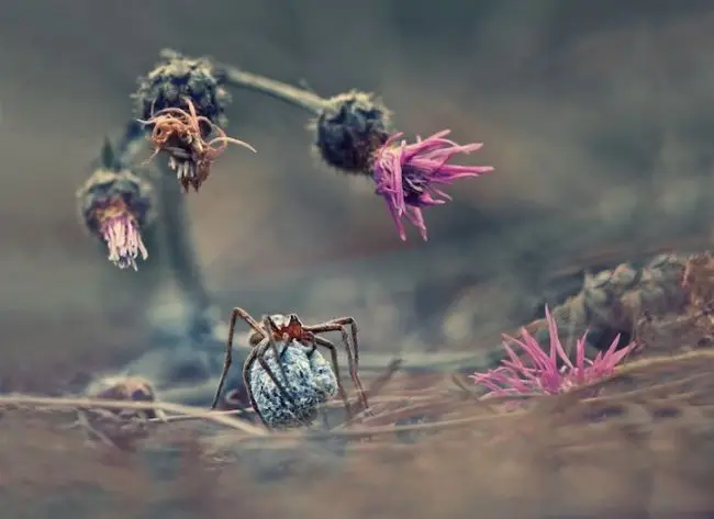 Первые победители фотоконкурса «Sony World Photography 2013»