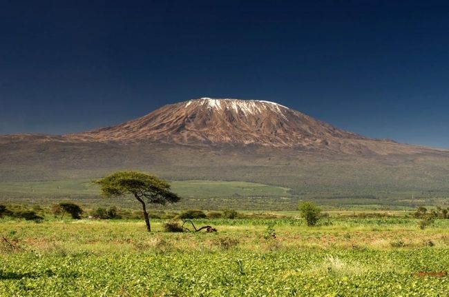 Kilimanjaro is the highest mountain in Africa