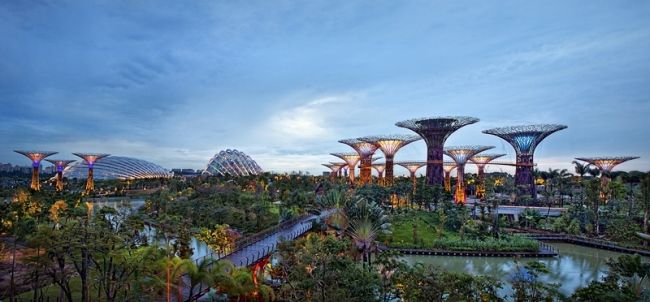 Переможці фотоконкурсу & laquo; International Garden Photographer of the Year & raquo ;: частина перша