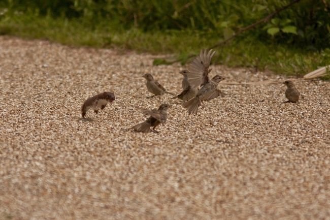 Winners and finalists of the photographic competition