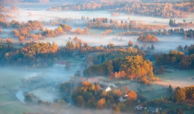 Победители фотоконкурса «International Garden Photographer of the Year»: часть первая