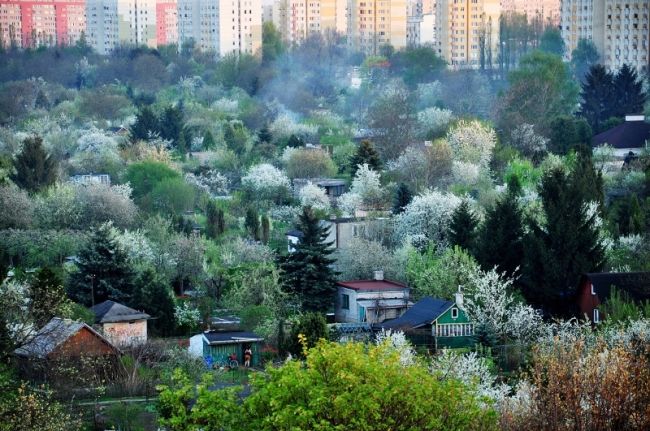 Переможці фотоконкурсу & laquo; International Garden Photographer of the Year & raquo ;: частина перша