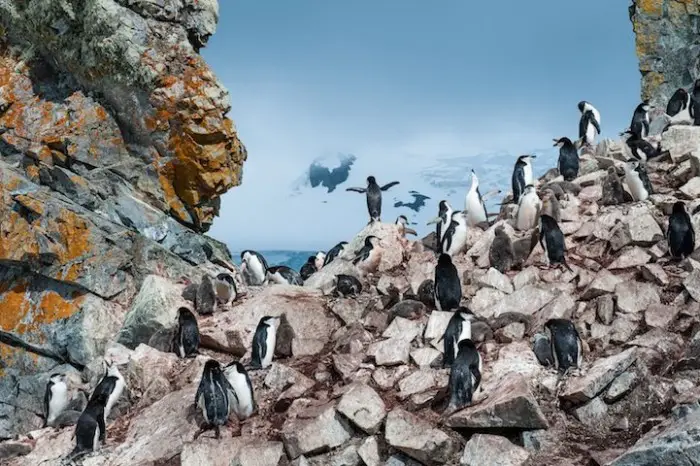 Первые работы фотоконкурса «National Geographic Traveler Photo 2013»
