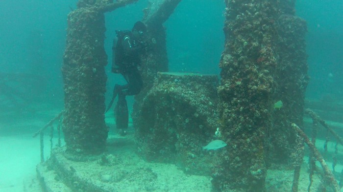 The biggest reef of anthropogenic origin and the underwater cemetery