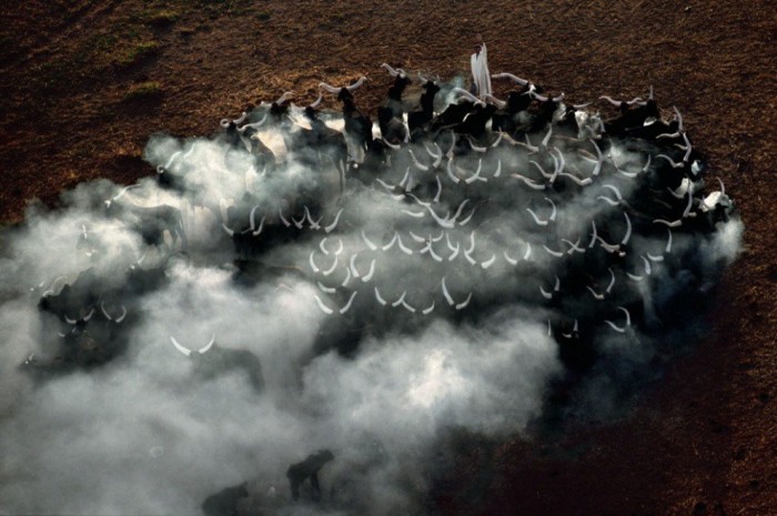 Планета Земля в об'єктиві Яна Артюс-Бертрана (Yann Arthus-Bertrand)