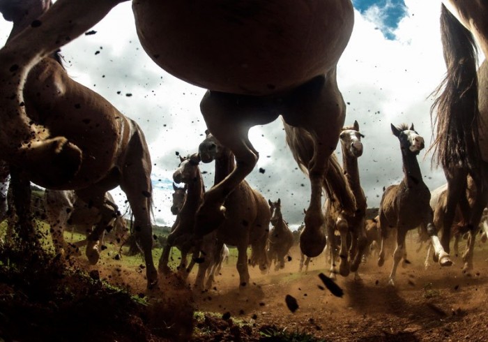 Перші роботи фотоконкурсу & laquo; National Geographic Traveler Photo 2013 & raquo;