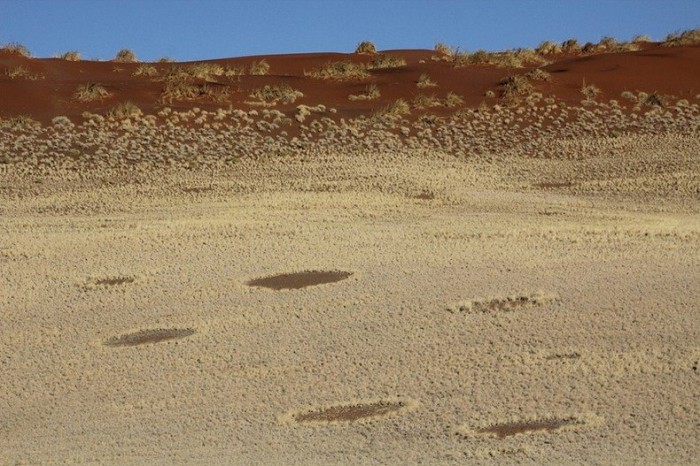 Mysterious Circles in the Namib Desert