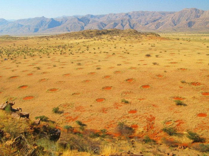 Загадкові кола в пустелі Наміб