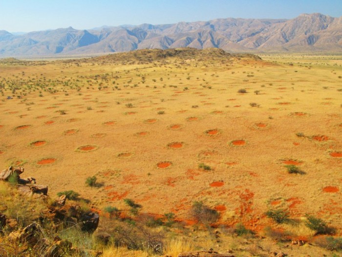 Mysterious circles in the Namib desert