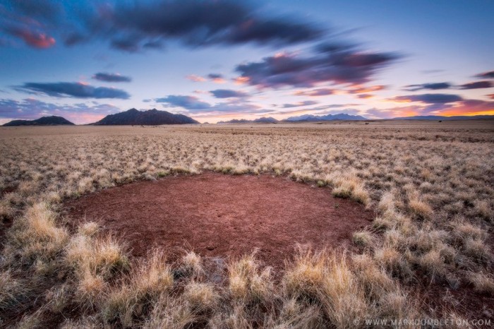 Mysterious Circles in the Namib Desert
