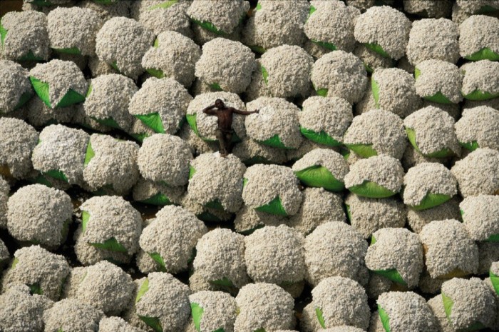 The Earth in the lens of Yann Arthus-Bertrand