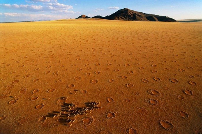 Mysterious Circles in the Namib Desert