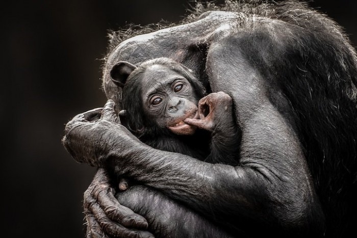 Первые работы фотоконкурса «National Geographic Traveler Photo 2013»