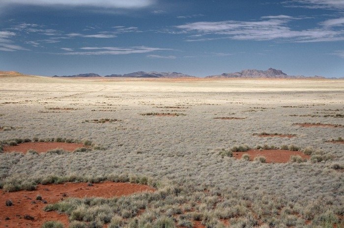 Mysterious circles in the Namib desert