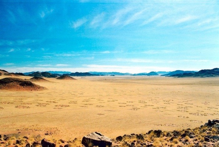 Mysterious circles in the Namib desert