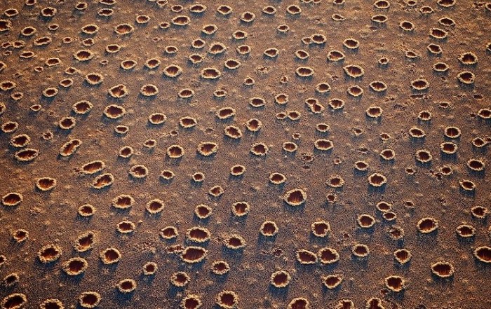 Mysterious circles in the Namib desert