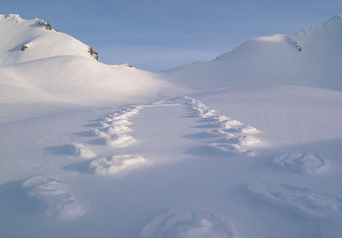 Snow traces in the reverse direction
