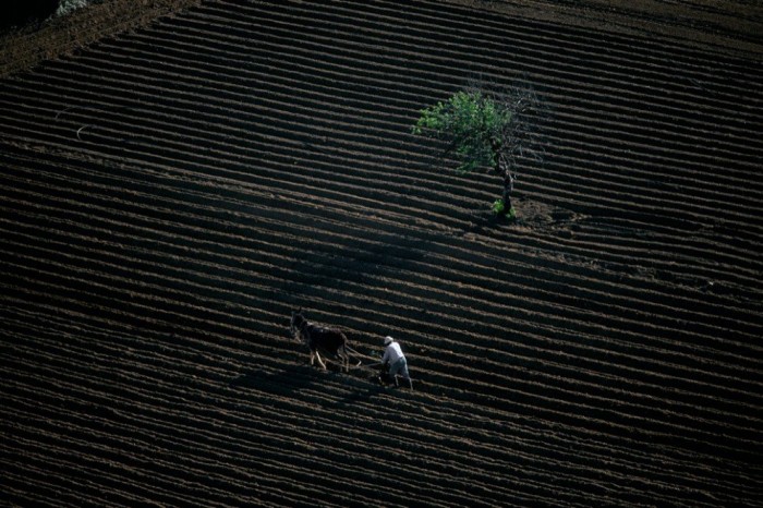 The Earth in the lens of Yann Arthus-Bertrand