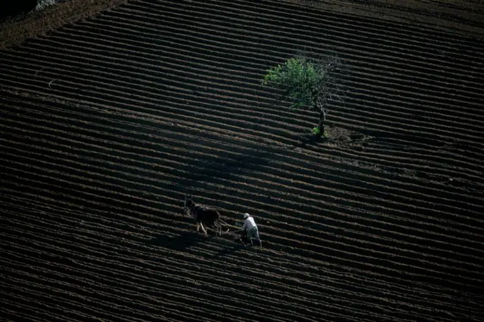 Планета Земля в объективе Яна Артюс-Бертрана (Yann Arthus-Bertrand)