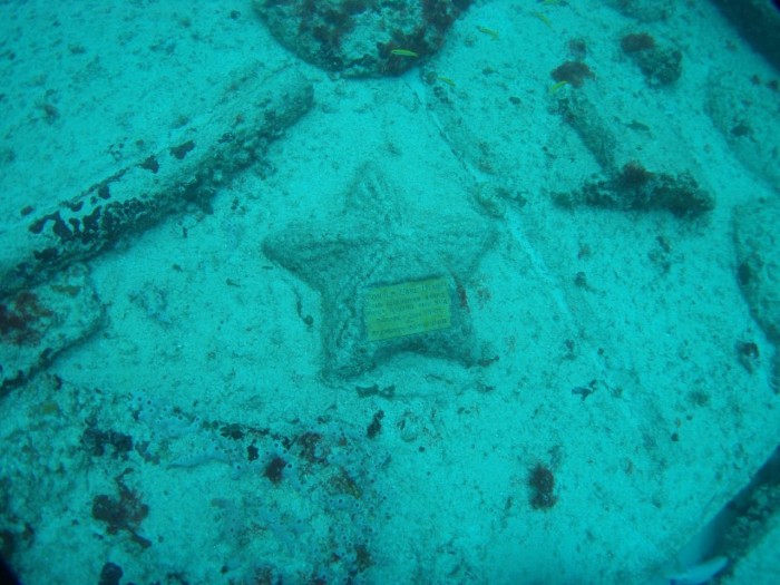 The biggest reef of anthropogenic origin and the underwater cemetery