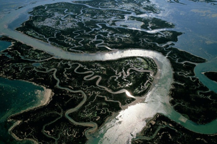 Планета Земля в объективе Яна Артюс-Бертрана (Yann Arthus-Bertrand)