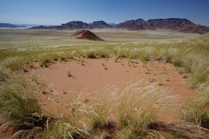 Mysterious circles in the Namib desert