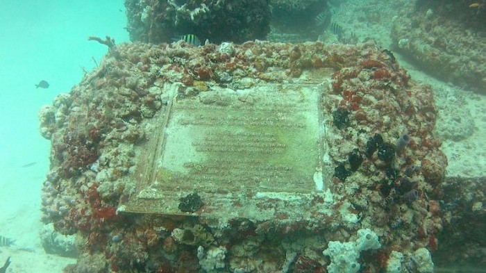 The biggest reef of anthropogenic origin and the underwater cemetery