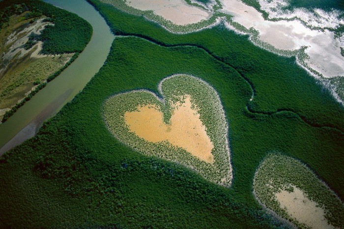 The Earth in the lens of Yann Arthus-Bertrand