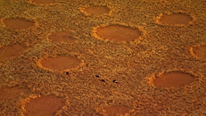 Загадкові кола в пустелі Наміб
