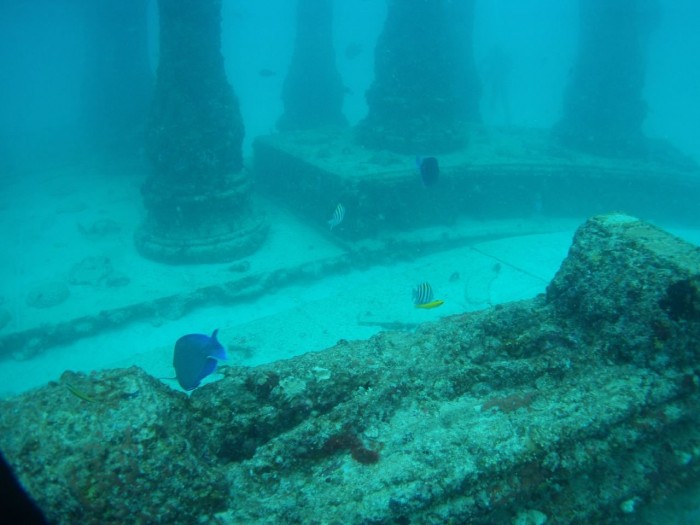 The biggest reef of anthropogenic origin and the underwater cemetery