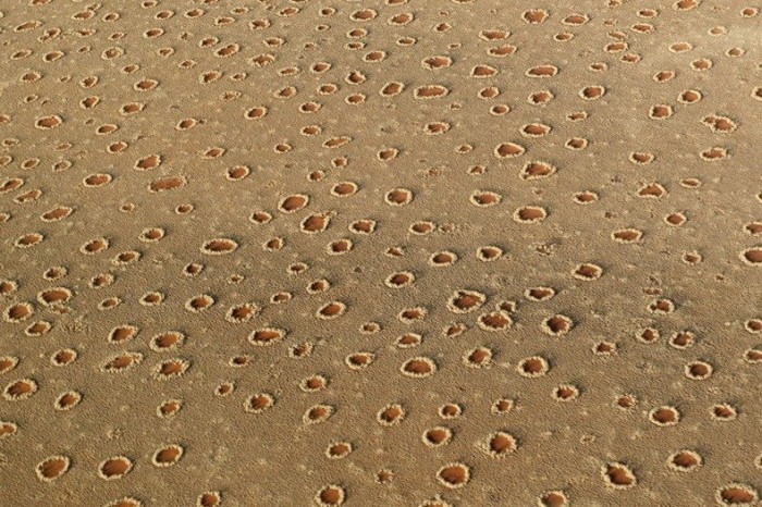 Mysterious circles in the Namib desert