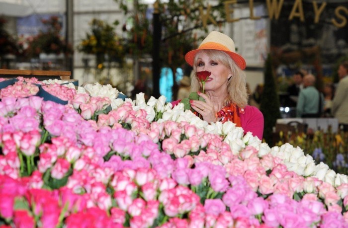 Все краски выставки цветов «Chelsea Flower Show 2013»