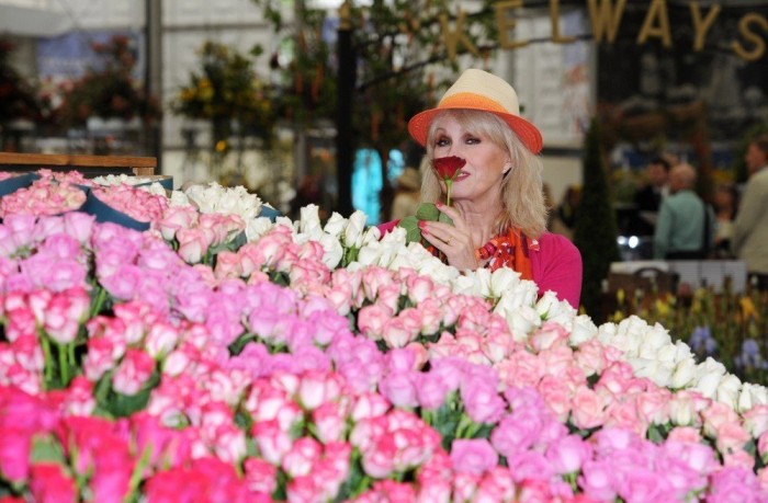 Всі фарби виставки квітів & laquo; Chelsea Flower Show 2013 & raquo;