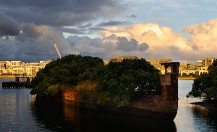 102-year-old abandoned ship with a floating forest