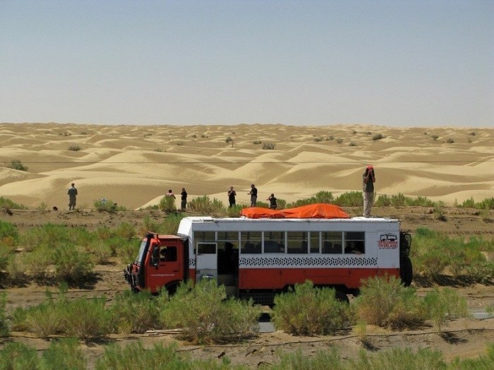 The green border of the world's longest highway through the desert