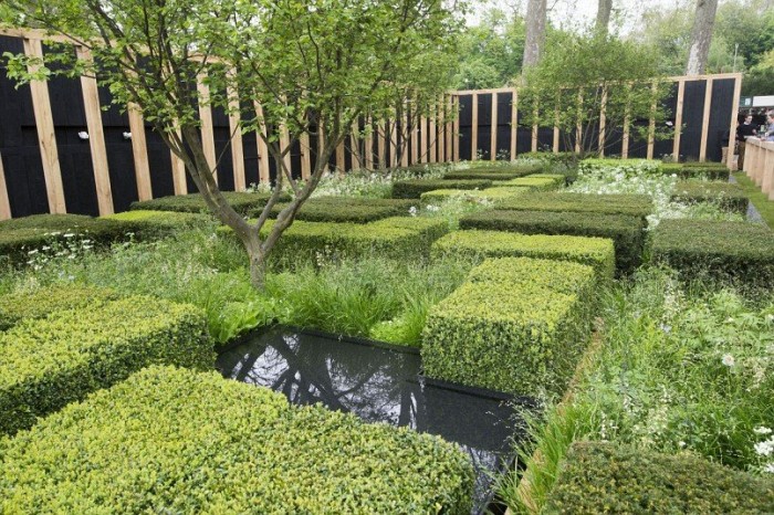 Всі фарби виставки квітів & laquo; Chelsea Flower Show 2013 & raquo;