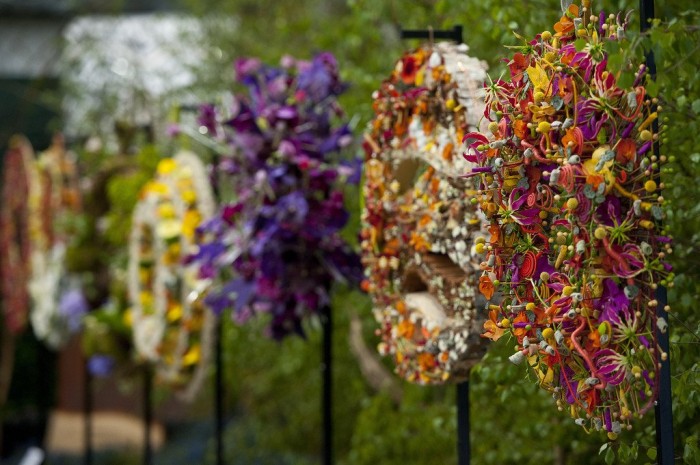 All the colors of the flower exhibition &