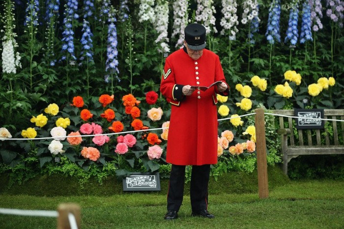 Все краски выставки цветов «Chelsea Flower Show 2013»