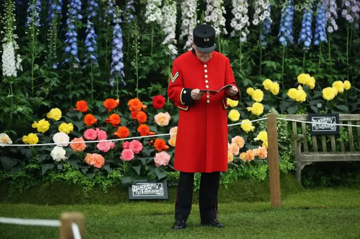Все краски выставки цветов «Chelsea Flower Show 2013»