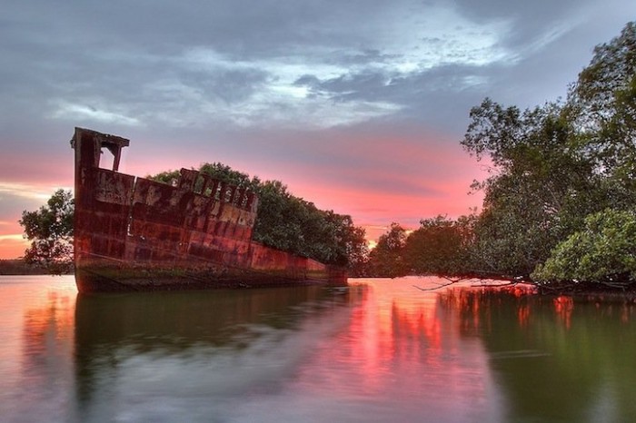 102-year-old abandoned ship with a floating forest