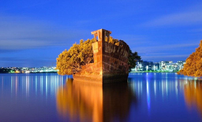 102-year-old abandoned ship with a floating forest